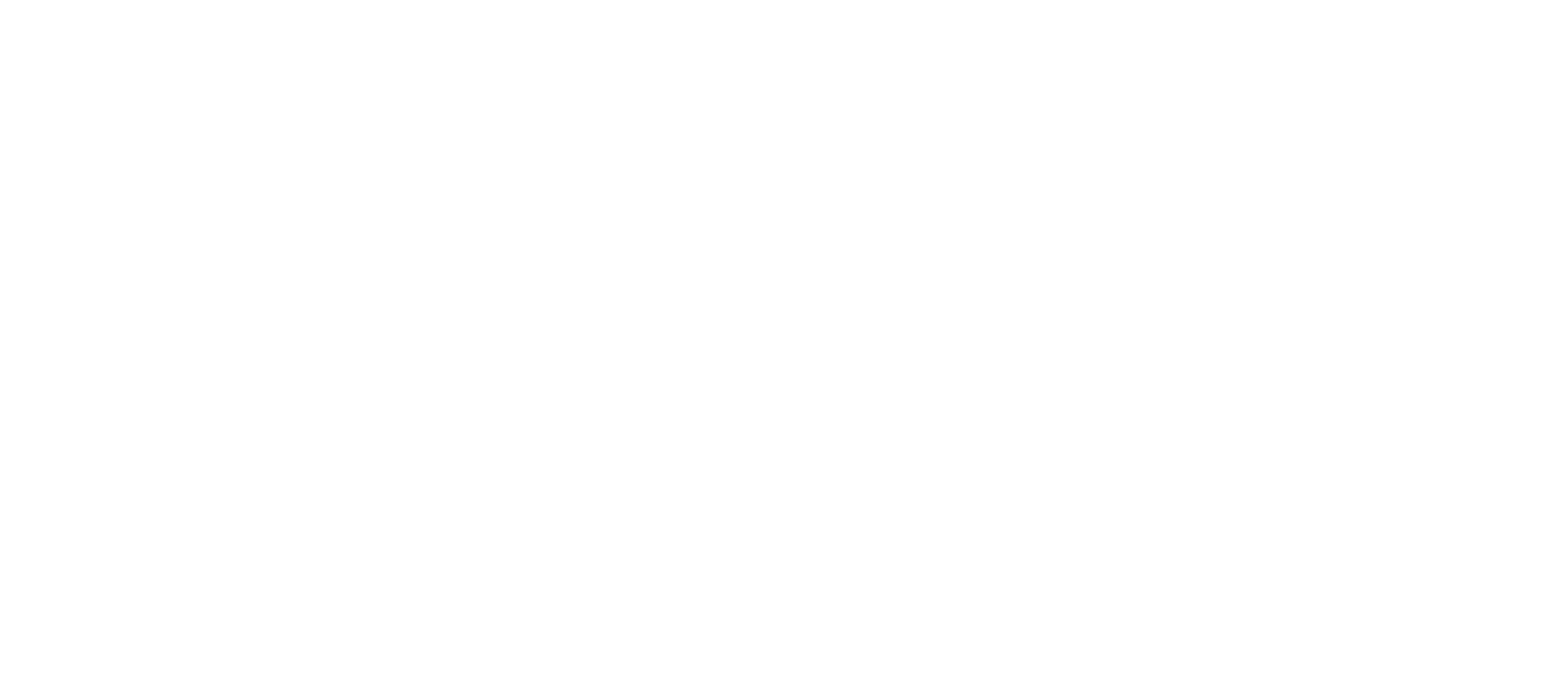 núcleo de arte e novos organismos