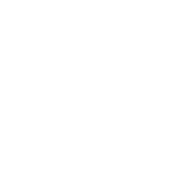 núcleo de arte e novos organismos